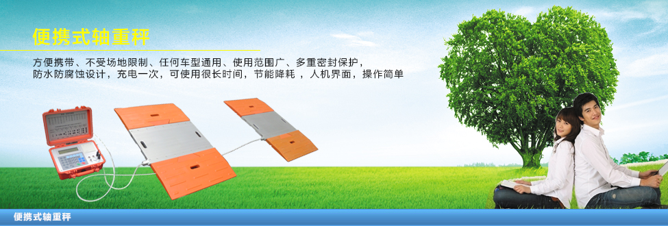 電子軸重秤