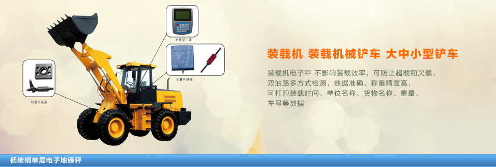 SCS超低碳鋼單層電子地磅秤