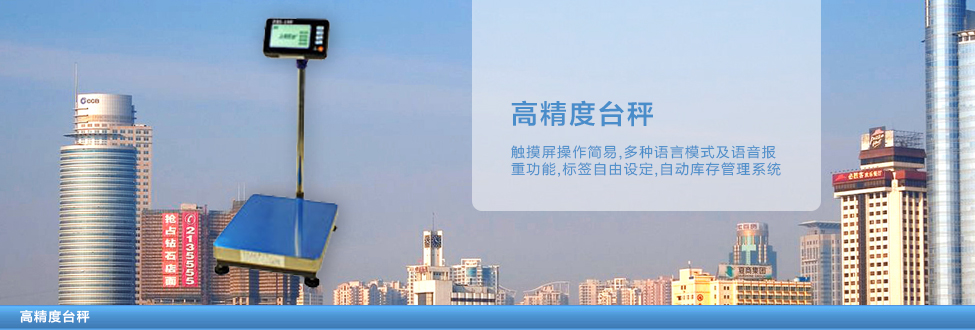 高精度臺(tái)秤